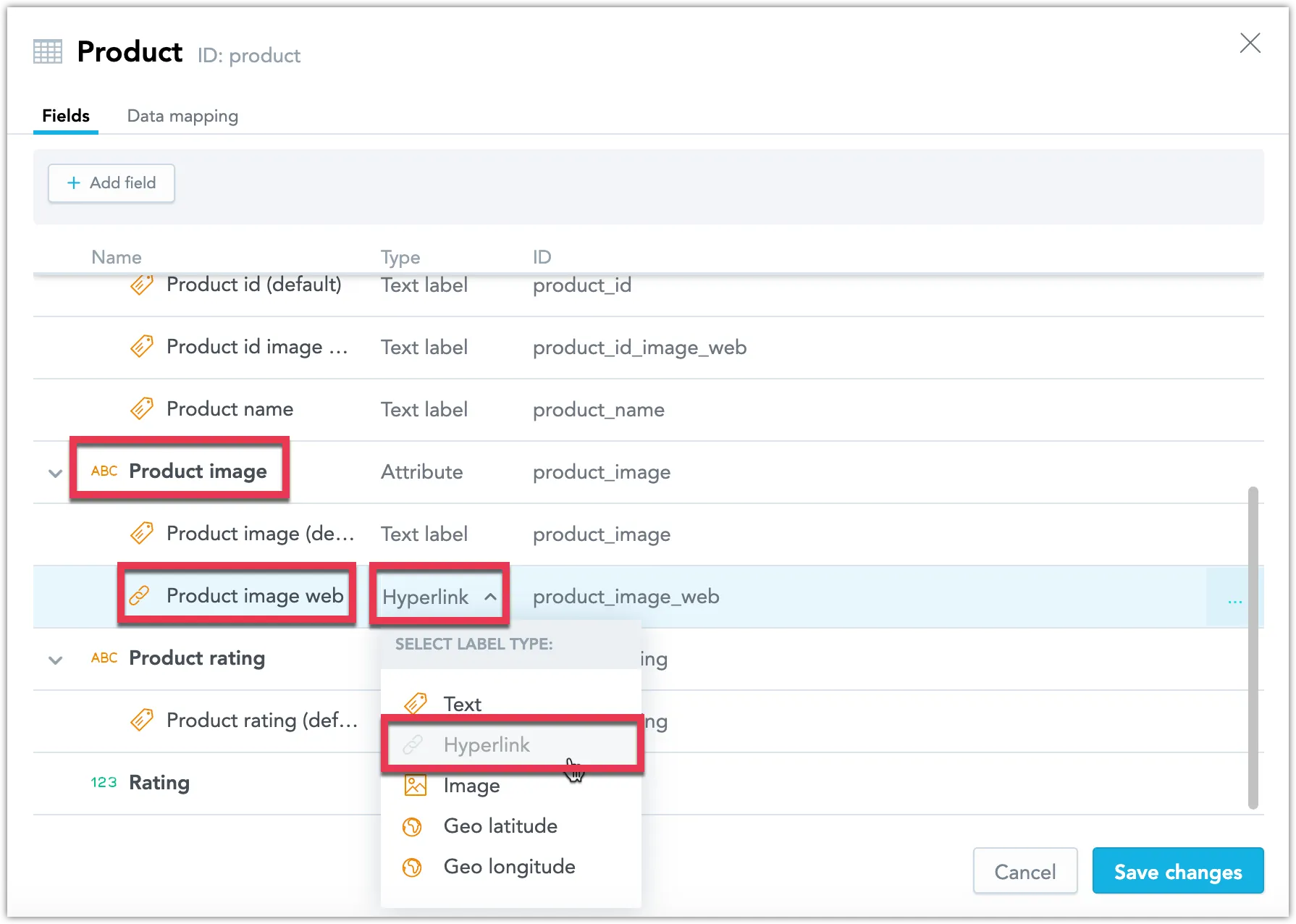 Screenshot of dataset details tab showing an attribute with a hyperlink-type label