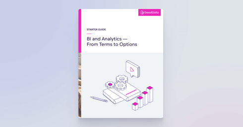 Starter Guide to BI and Analytics — From Terms to Options