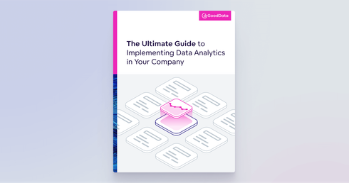 The Ultimate Guide to Implementing Data Analytics in Your Company