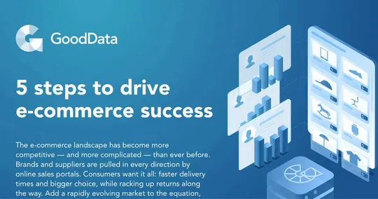 5 Steps for E-Commerce Analytics Success
