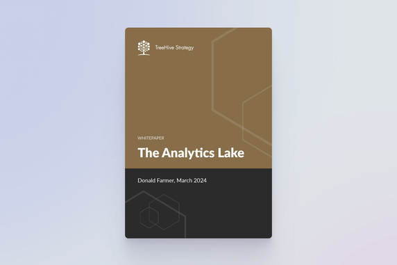 Cover image for The Analytics Lake: By Donald Farmer