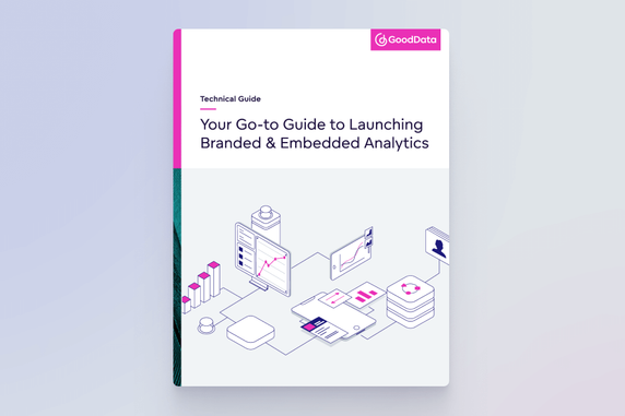 Tech Guide: Your Go-to Guide to Launching Branded & Embedded Analytics