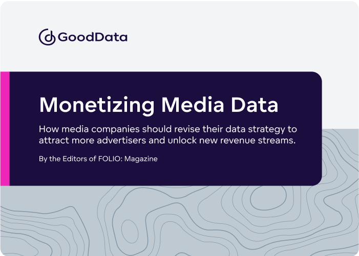 Monetizing Media Data: How Companies Can Attract Advertisers & New Revenue 