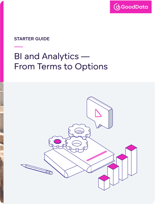 Starter Guide to BI and Analytics — From Terms to Options