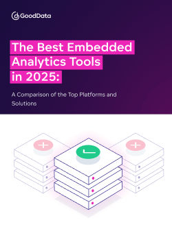 The Best Embedded Analytics Tools in 2025: A Comparison of the Top Platforms and Solutions